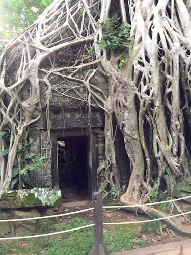 d0341811_11294249.jpg