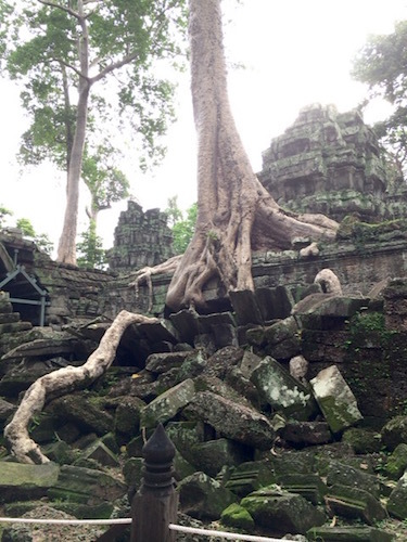 d0341811_11300181.jpg