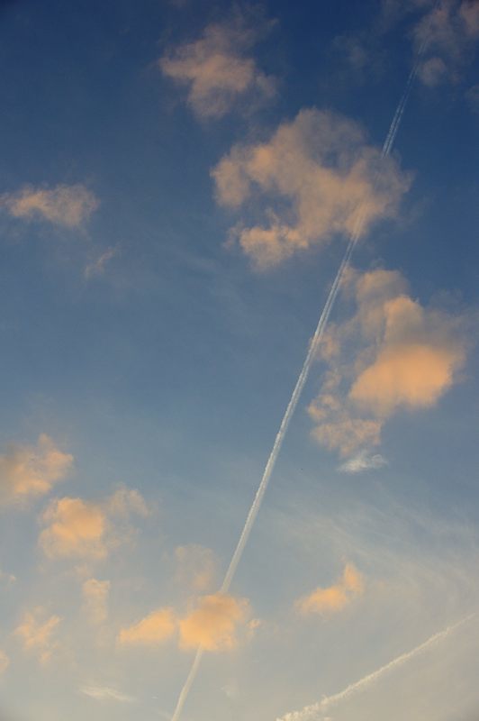 f0032011_14384761.jpg