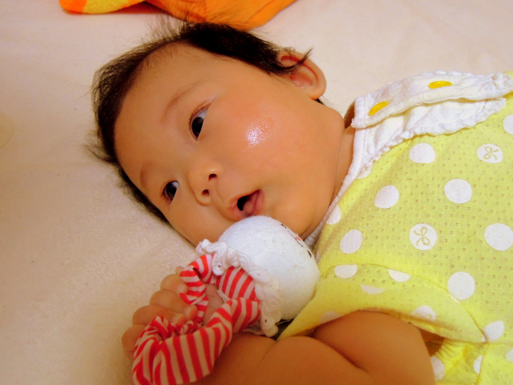 a0158613_21262772.jpg