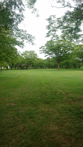 e0058913_17293012.jpg