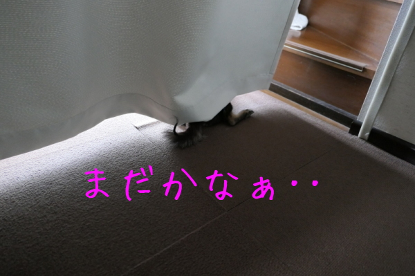 f0369014_11131350.jpg