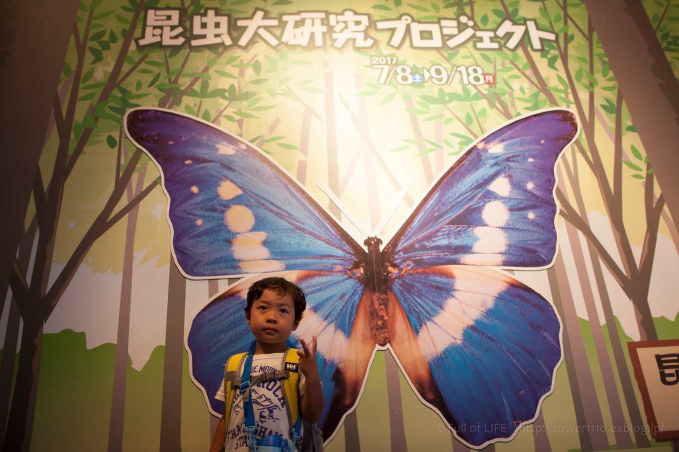 c0369219_16520133.jpg