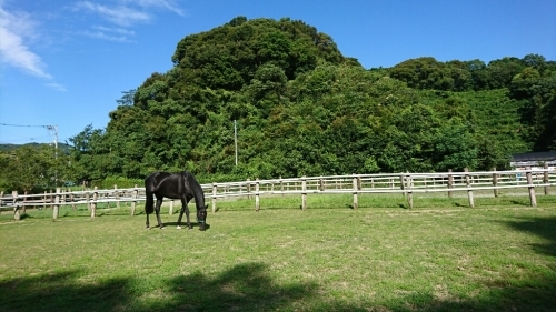 b0187620_20145094.jpg