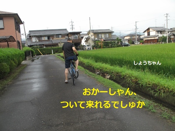 f0143123_09013309.jpg