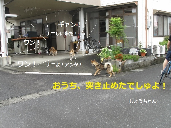 f0143123_09112184.jpg