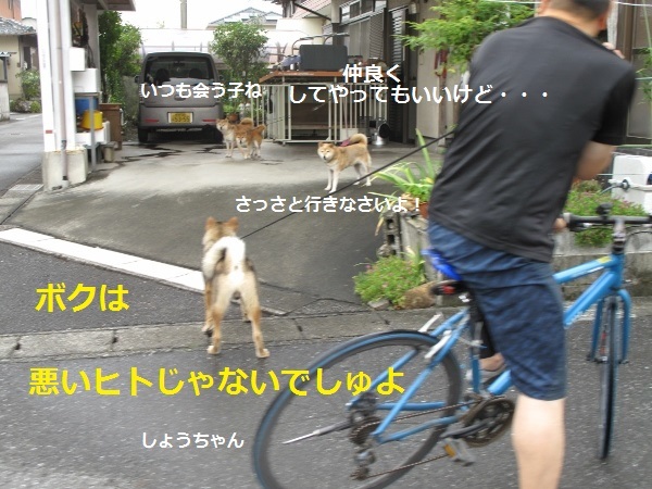f0143123_09121903.jpg