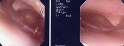 a0082724_21570711.jpg