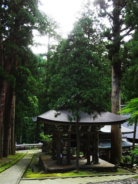 e0192725_09401099.jpg