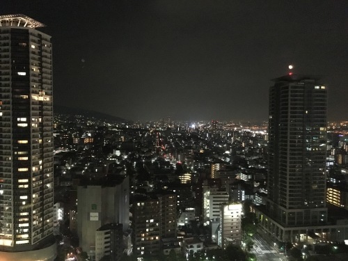 b0004229_16325122.jpg