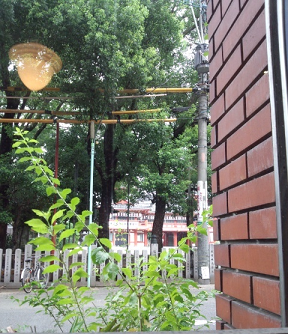 c0311729_22134970.png