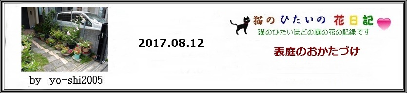 e0033229_17311727.jpg