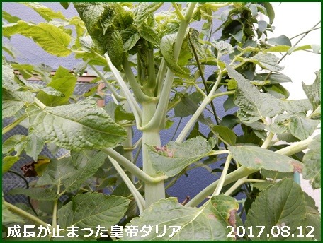 e0033229_1843291.jpg