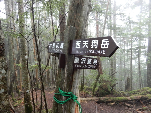 b0090431_19320018.jpg