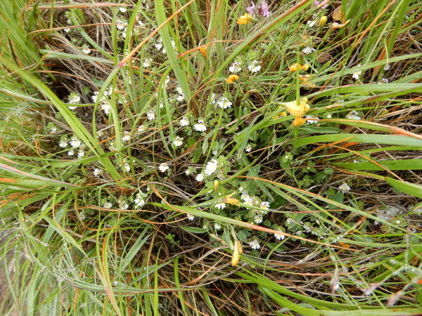 b0090431_19324441.jpg
