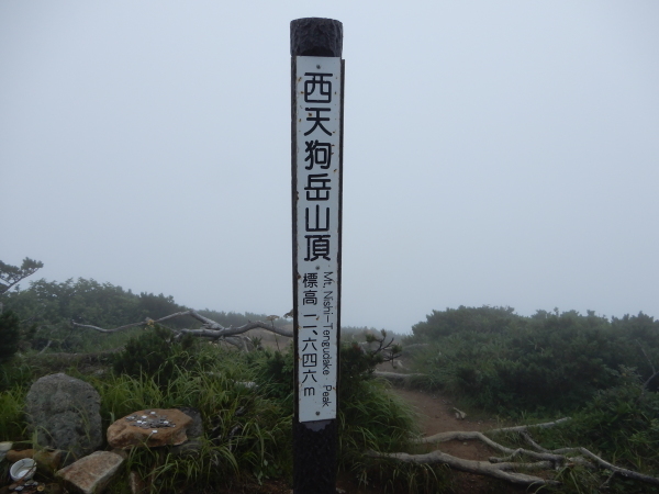 b0090431_19332454.jpg