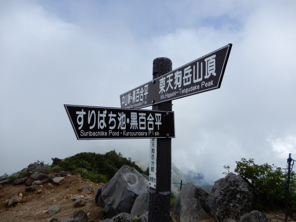b0090431_19333501.jpg