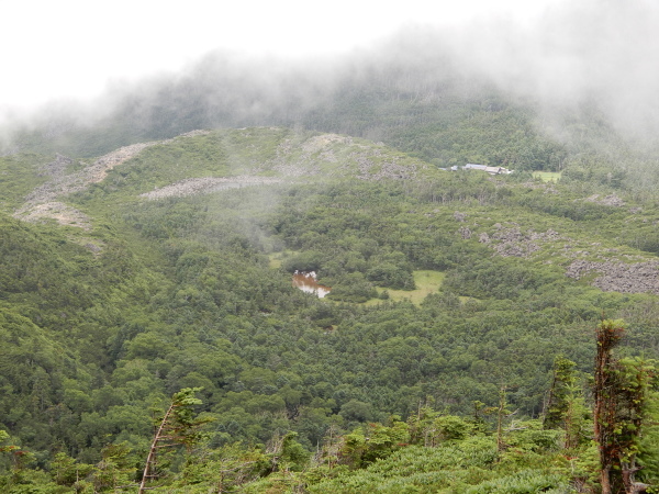 b0090431_19334401.jpg