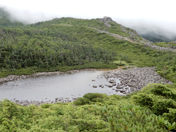 b0090431_19342109.jpg
