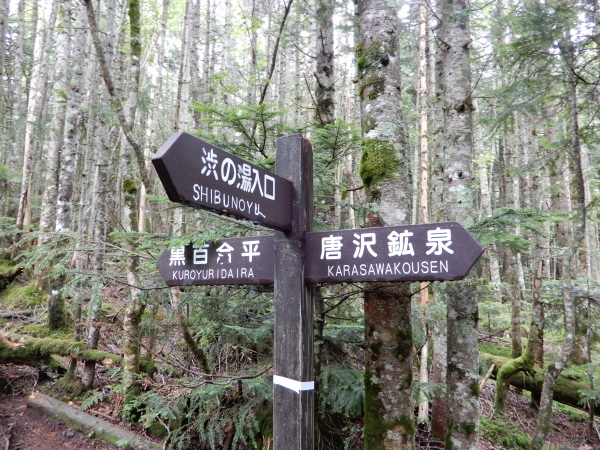 b0090431_19344314.jpg