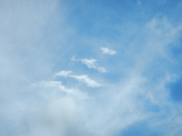 f0118332_00200705.jpg