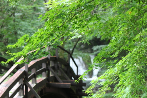 a0345833_21575259.jpg