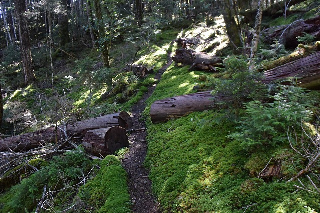 b0341133_15303522.jpg