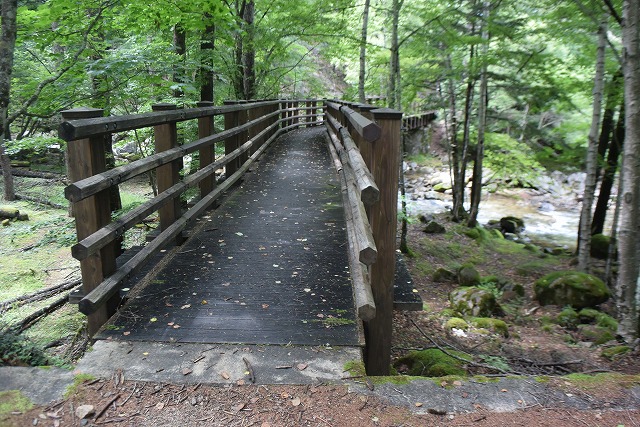 b0341133_1530927.jpg