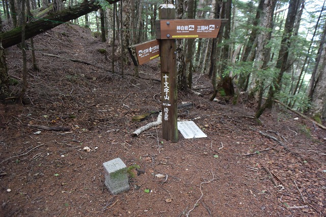 b0341133_15313526.jpg