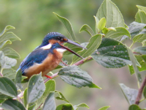 c0338136_16484184.jpg