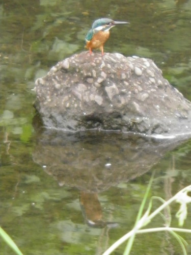 c0338136_16492994.jpg