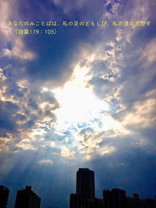 d0100239_08174259.jpg