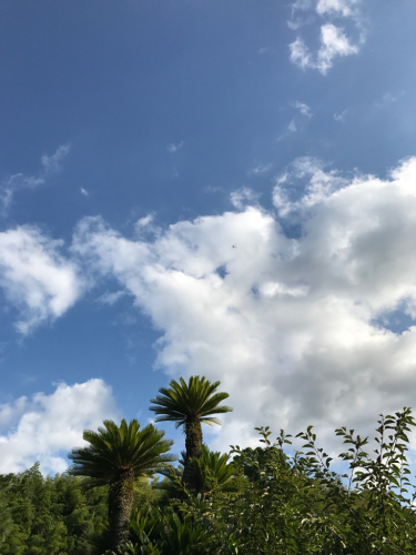 c0329040_23455872.jpg