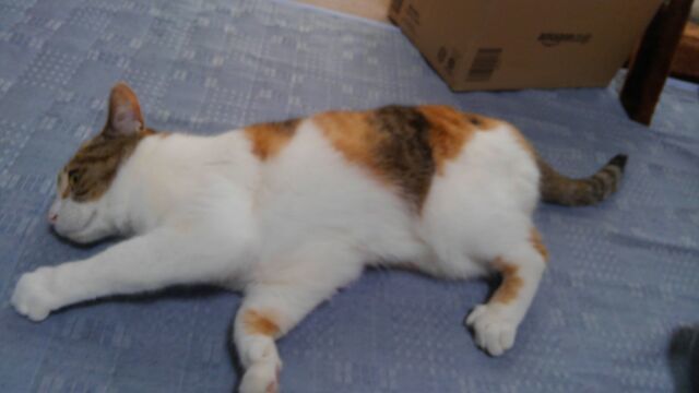 c0194042_21015946.jpg