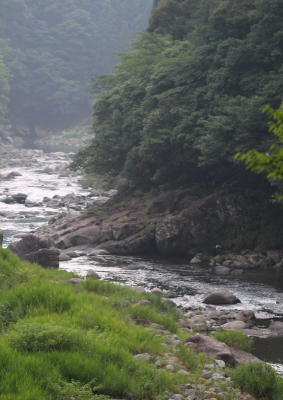 b0186148_15542660.jpg