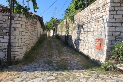 c0011649_14510189.jpg