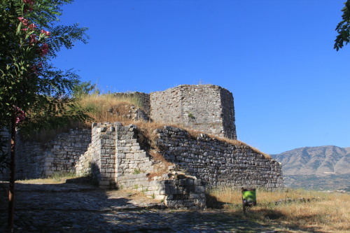 c0011649_14540005.jpg