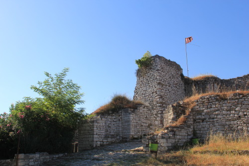 c0011649_18505625.jpg