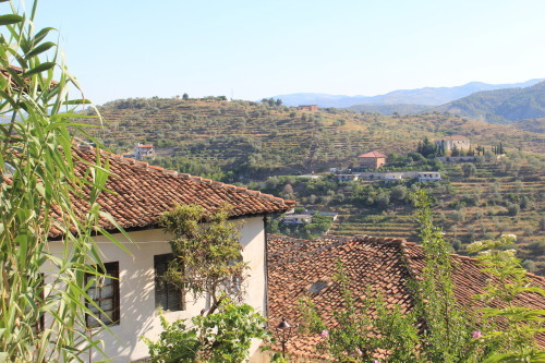 c0011649_18581843.jpg
