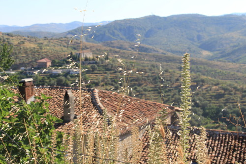 c0011649_18593598.jpg