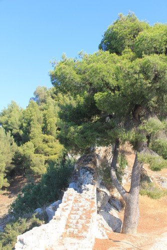 c0011649_19075573.jpg