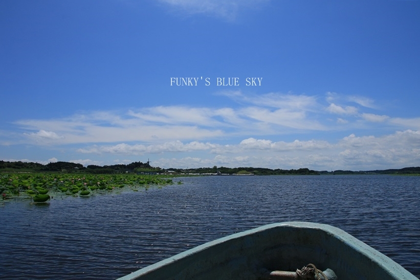 c0145250_10375434.jpg
