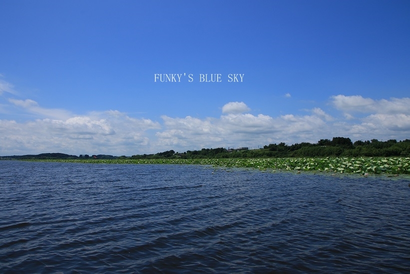 c0145250_10382491.jpg