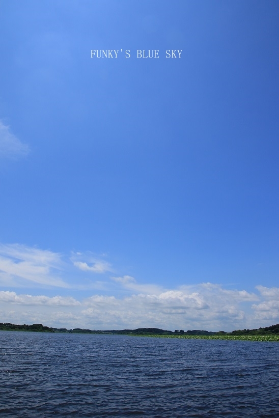 c0145250_10385442.jpg