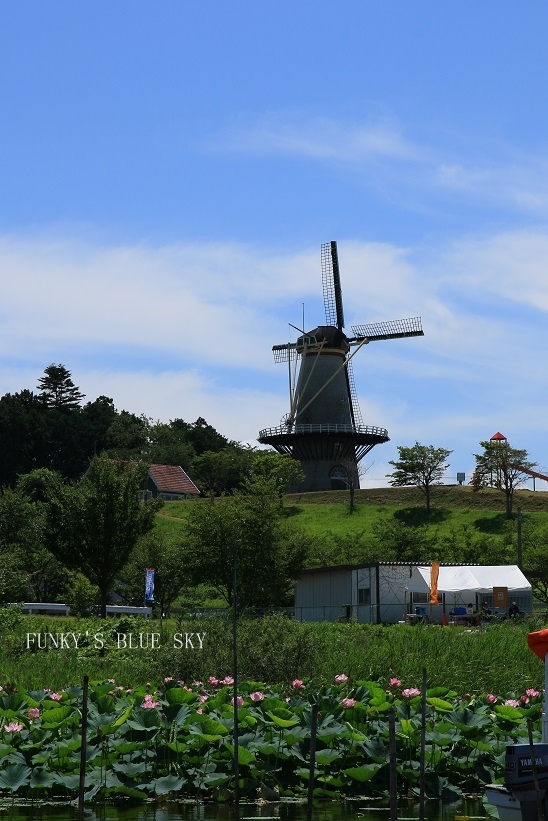 c0145250_10430370.jpg