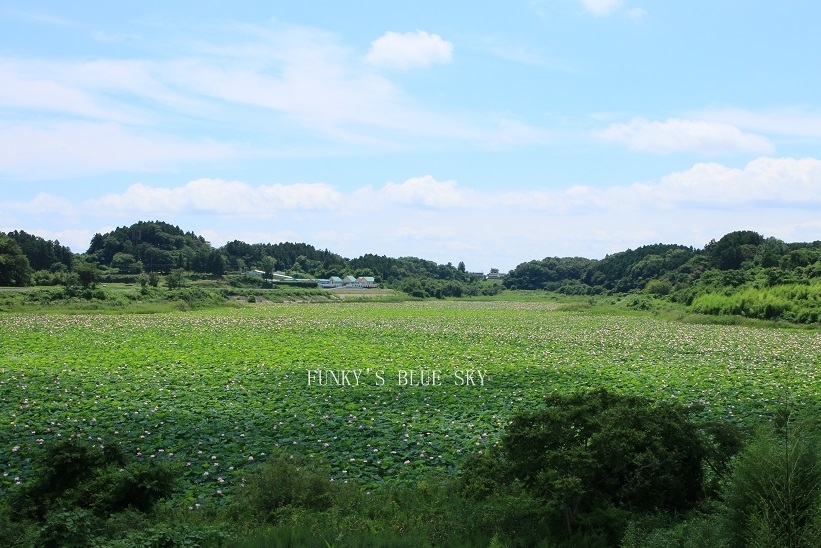 c0145250_10433375.jpg