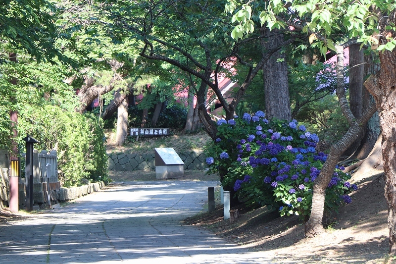 b0250154_06203752.jpg