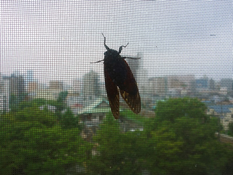 f0291154_0333513.jpg