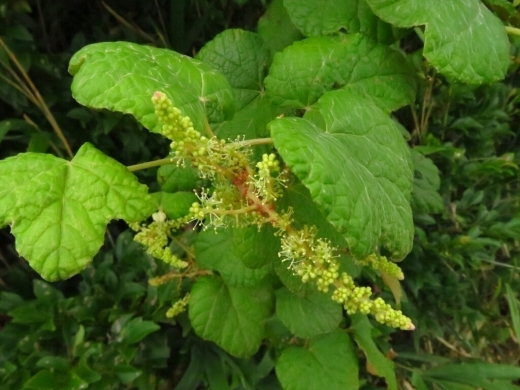 a0018655_15052847.jpg