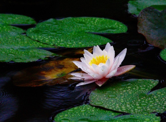 a0248459_20213553.jpg